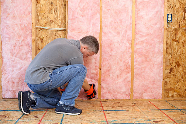 Best Insulation Contractors for Homes  in Franklin Furnace, OH